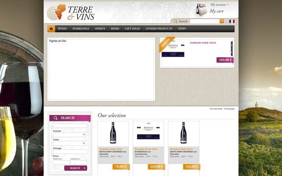 Terreetvins | Terre et vins à dinan, vente de vins