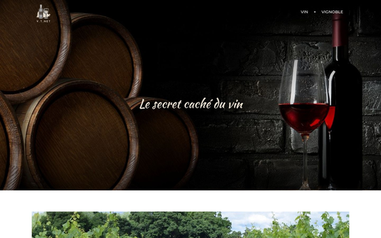 Vin Terre Net | Découvrez tous les secrets du vin et du vignoble