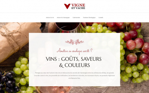 Vins d’exception & produits du terroir : tout savoir !